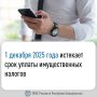 Оплачивайте налоги до 1 декабря 2025 года